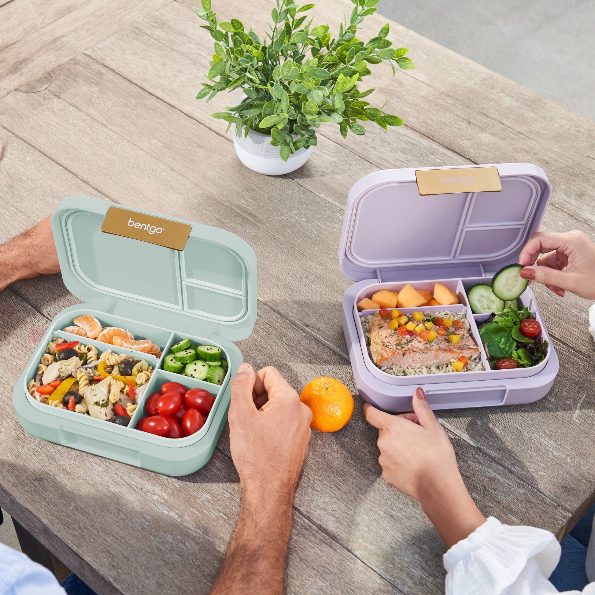 bentgo-modern-lunch-box-2-pack-j8 COSTCOBMCPRODUCTIMAGE_2.jpg